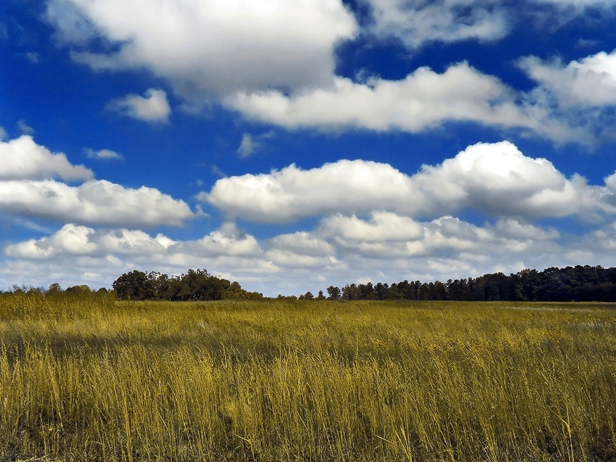 صورة تعبيرية صورة تعبيرية