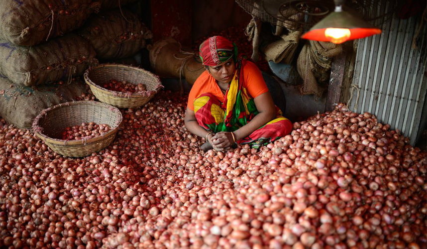 بنجلاديش تستورد 60 ألف طن بصل من مصر