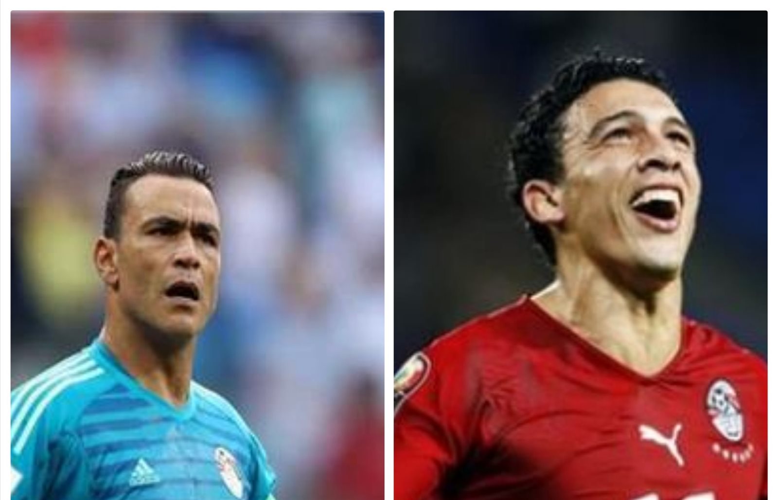 عصام الحضري ومحمد ناجي جدو 