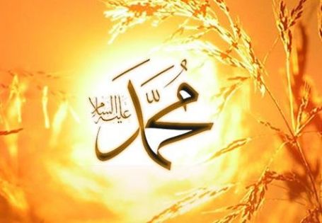 الطعام الذي كان يحبه النبي الطعام الذي كان يحبه النبي