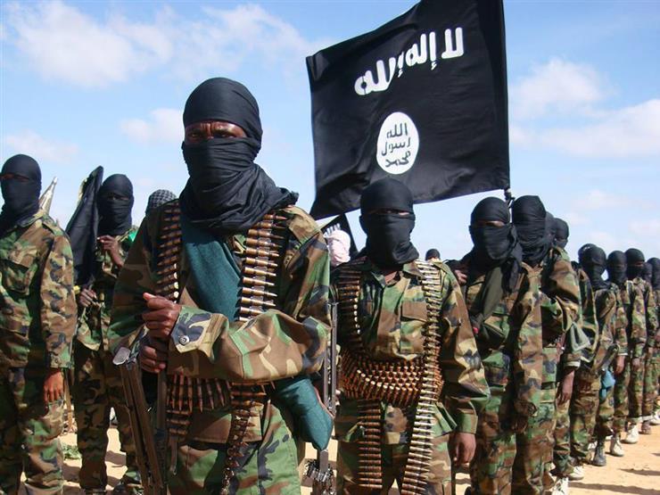 داعش يتبنى هجوما على الجيش المالي داعش يتبنى هجوما على الجيش المالي