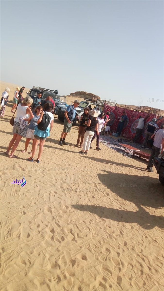 دارسي الآثار الإيطاليين دارسي الآثار الإيطاليين