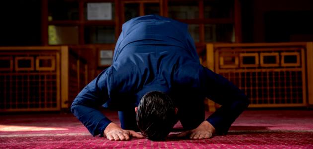 حكم الجلوس في الصلاة بعذر وبدون حكم الجلوس في الصلاة بعذر وبدون