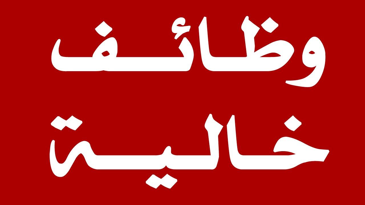وزارة الإنتاج الحربي