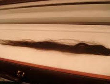 شعرة للنبي صلى الله عليه وسلم عثر عليها في اليمن