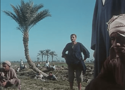 مشهد من فيلم الأرض للمؤلف عبدالرحمن الشرقاوي