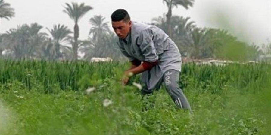 قانون الزراعة التعاقدية 