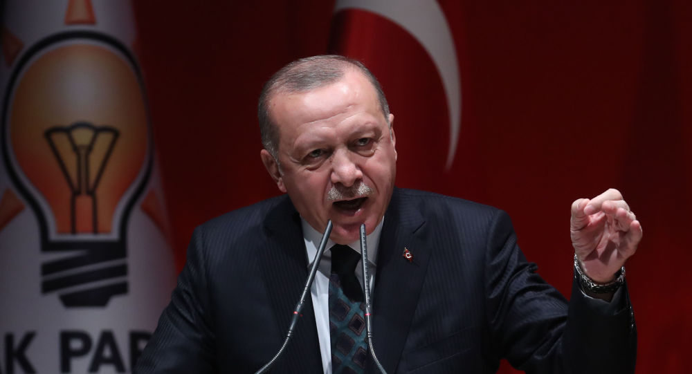 الرئيس التركي رجب طيب أردوغان الرئيس التركي رجب طيب أردوغان