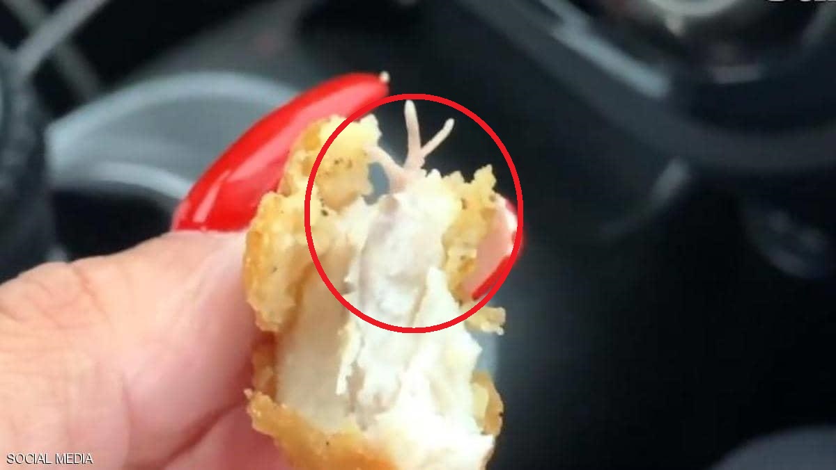 صورة وجبة الدجاج