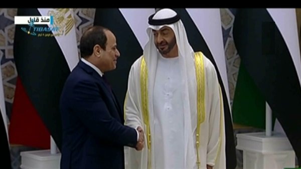 الرئيس السيسي وبن زايد