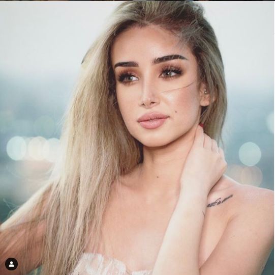 هنا الزاهد هنا الزاهد