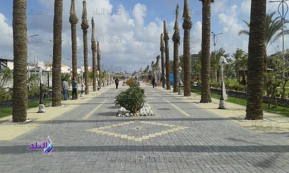 كل ماتريد معرفته عن شارع 3/7 السياحي في بورسعيد