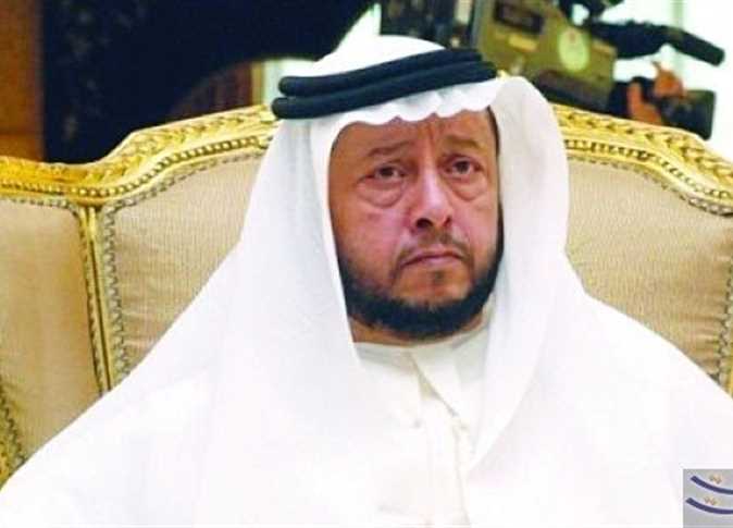 سلطان بن زايد