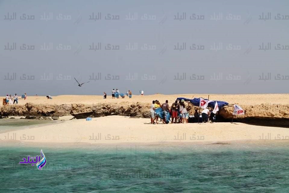 جزيرة "مجاويش" جزيرة "مجاويش"