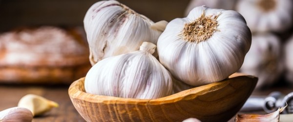 فوائد تناول الثوم قبل النوم فوائد تناول الثوم قبل النوم