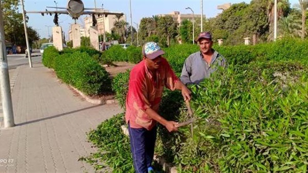 عمال التشجير