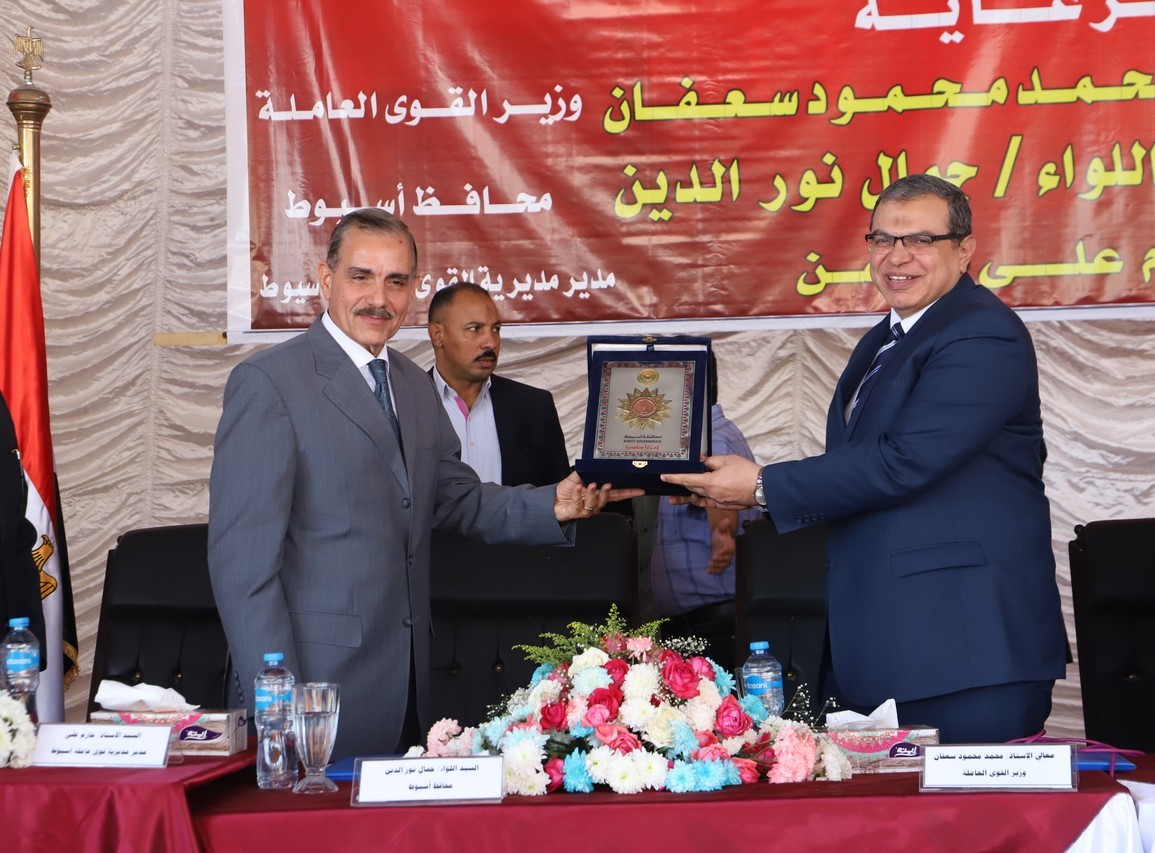 الدكتور محمد سعفان وزير القوى العاملة 