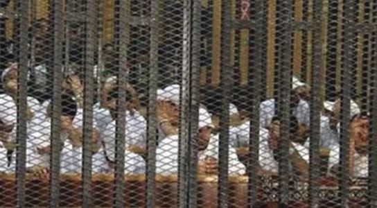 كتائب حلوان كتائب حلوان