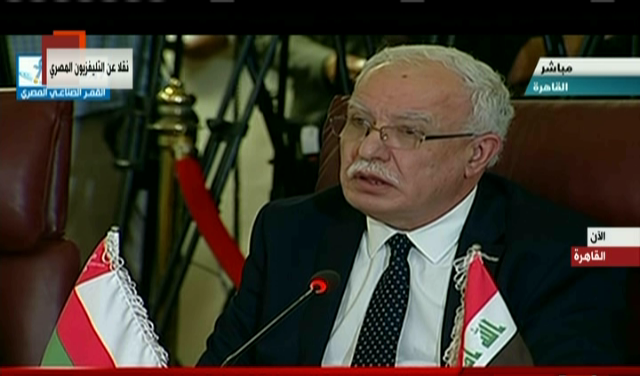 رياض المالكى