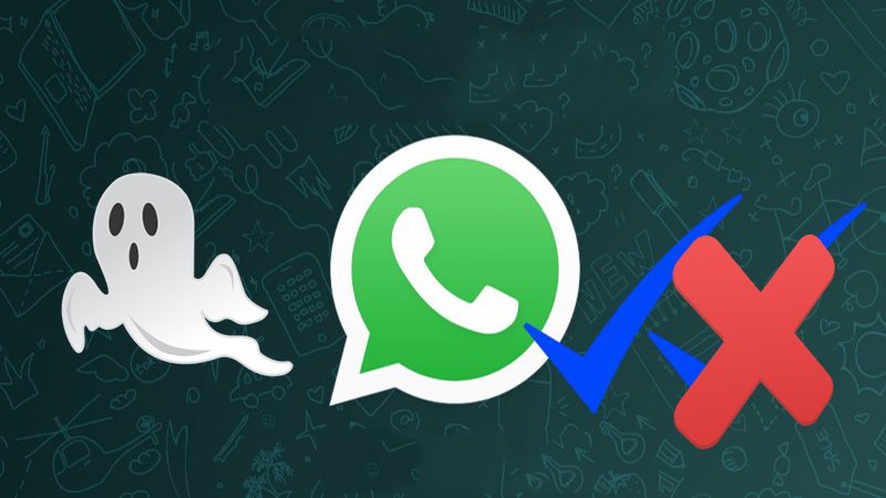 whatsapp whatsapp