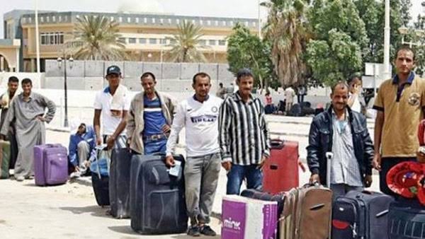 العمالة المصرية العمالة المصرية