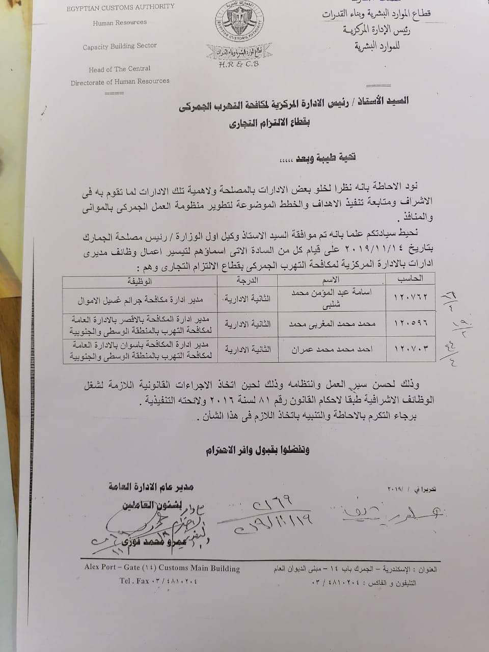 القرار القرار