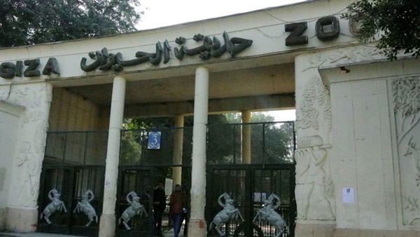 حديقة الحيوان بالجيزة حديقة الحيوان بالجيزة