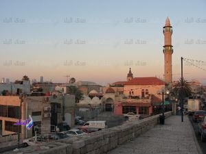 مدينة المحمودية