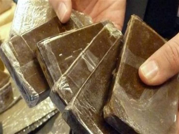 ضبط 380 طربة حشيش