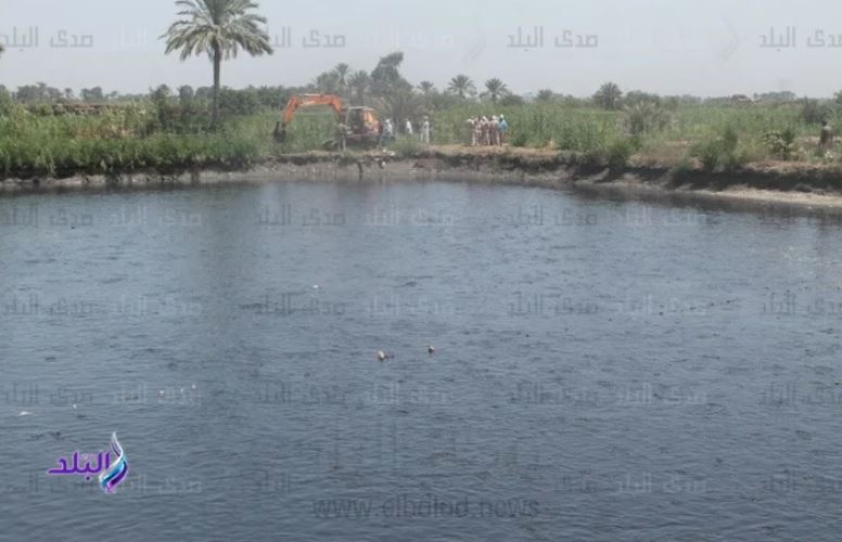 بحيرة المنزلة 