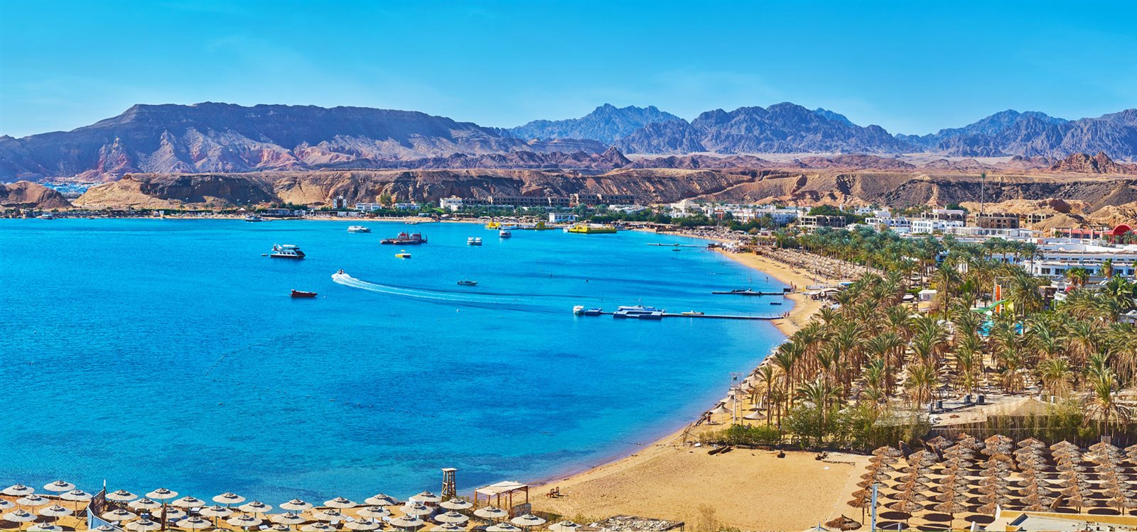 ارشيفية