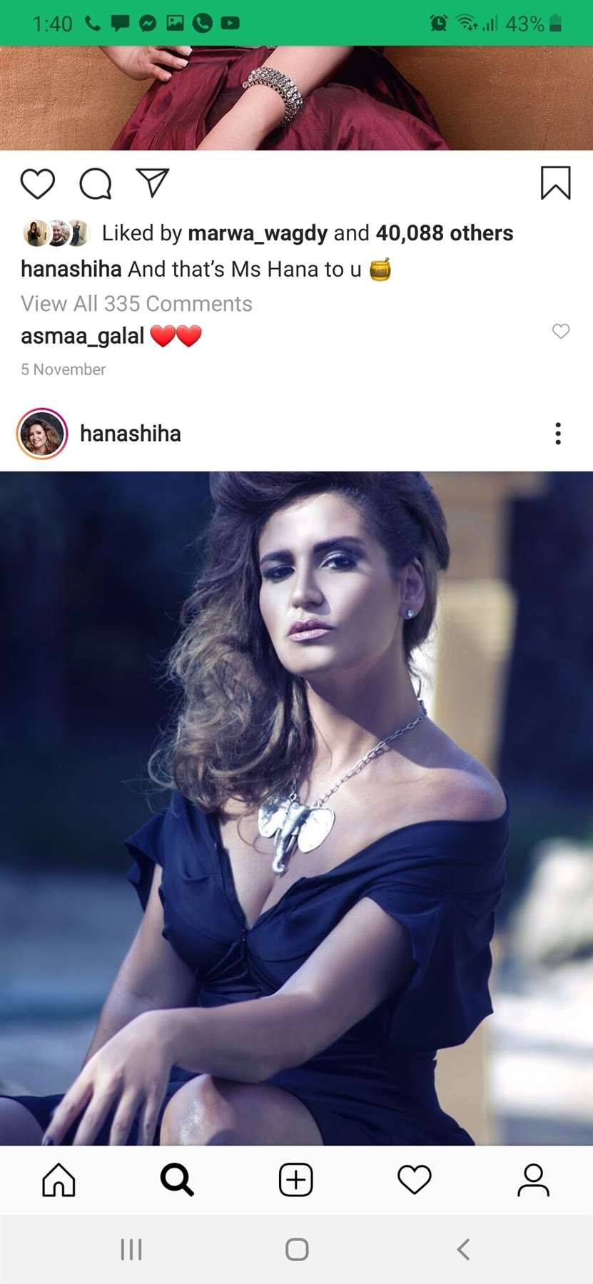 هنا شيحة هنا شيحة