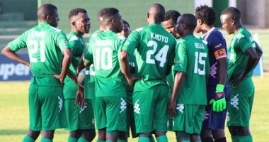 بلاتينيوم الزيمبابوي - صورة أرشيفية 