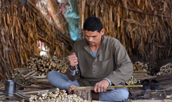 قرية إمياى بالقليوبية