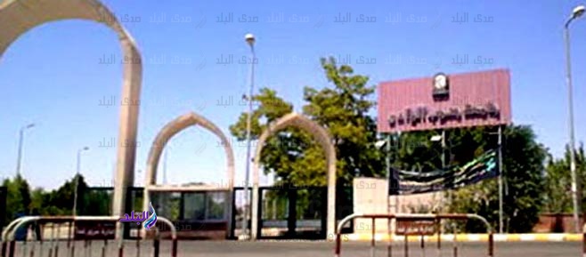 جامعة جنوب الوادى