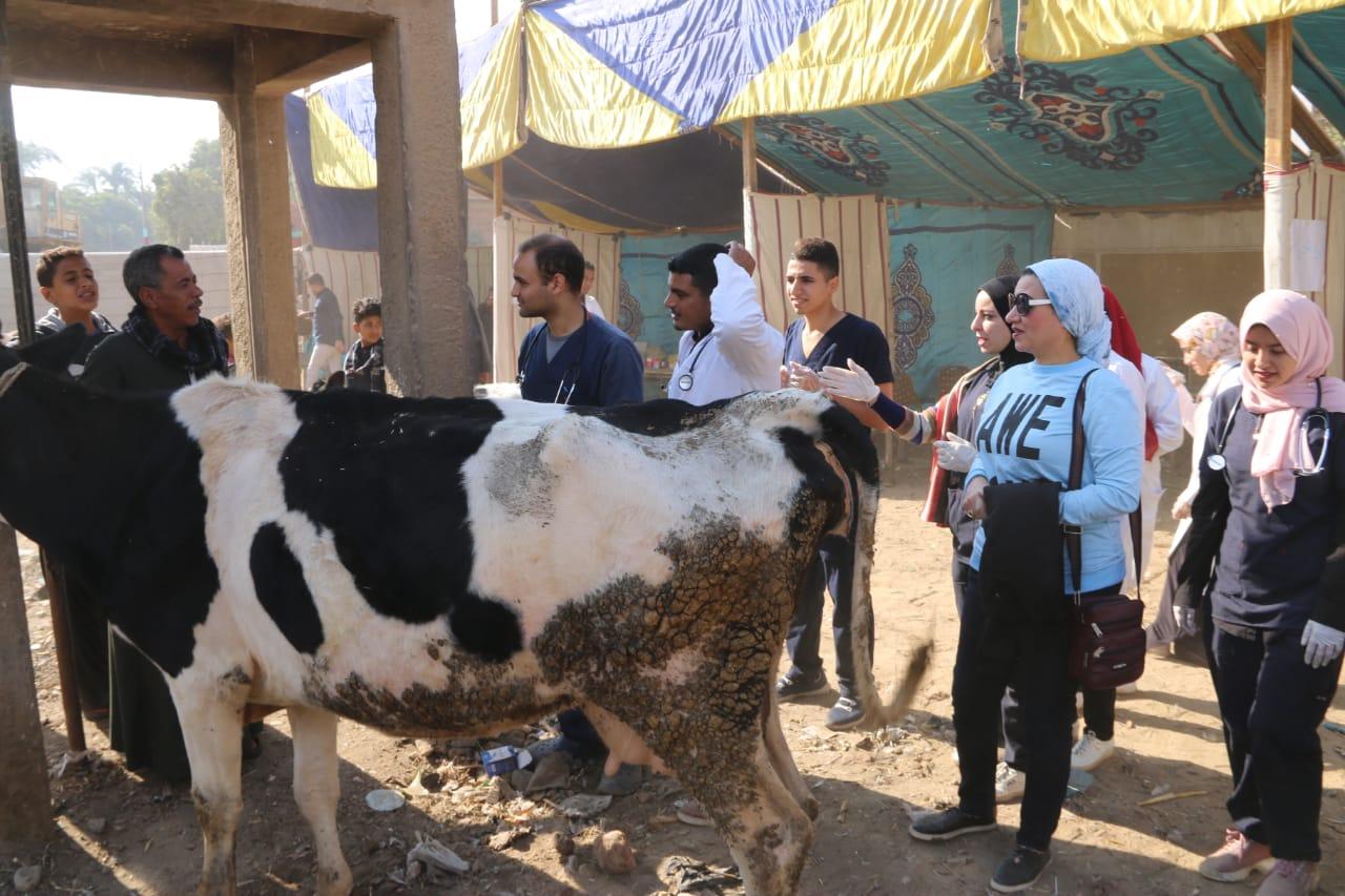 قافلة بيطرية قافلة بيطرية