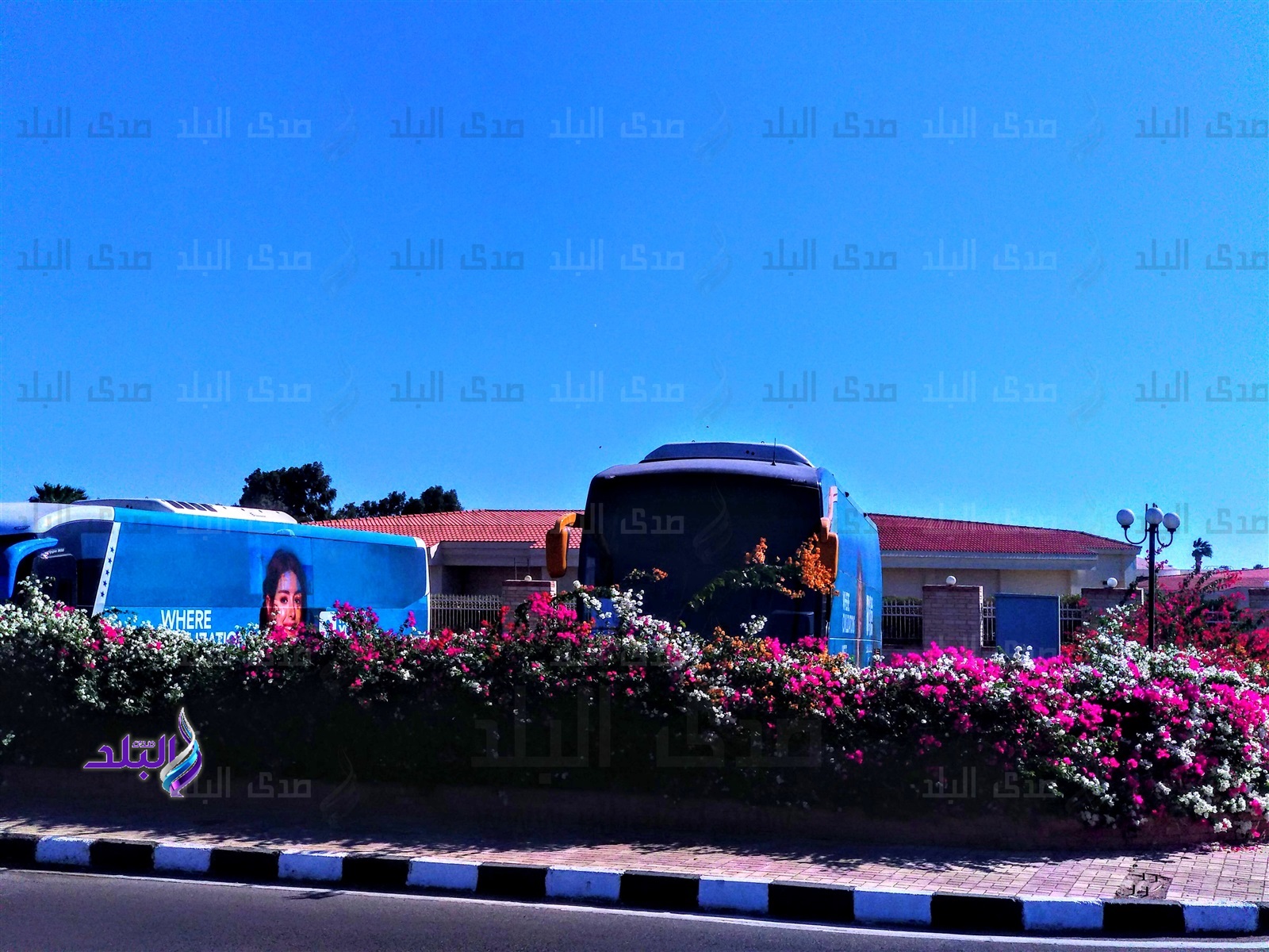 شرم الشيخ في أجمل صورة لاستقبال منتدي شباب العالم شرم الشيخ في أجمل صورة لاستقبال منتدي شباب العالم