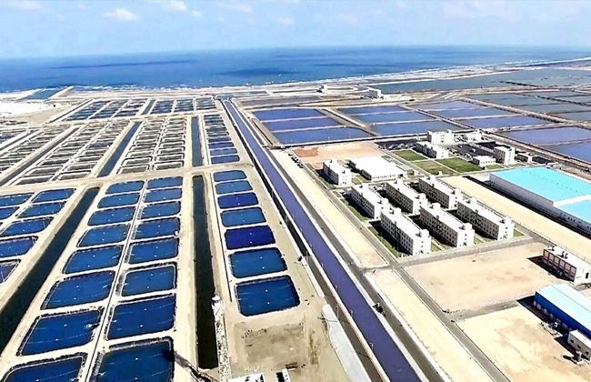 المزارع السمكية  المزارع السمكية