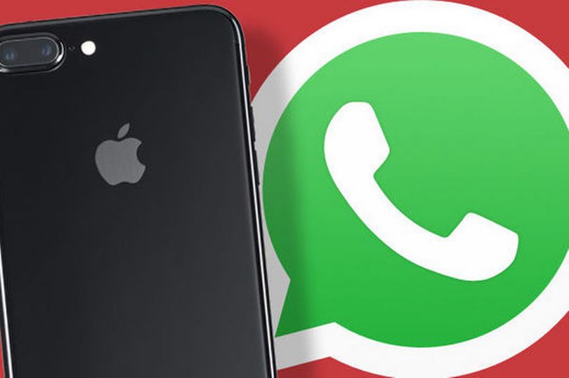 واتساب whatsapp واتساب whatsapp