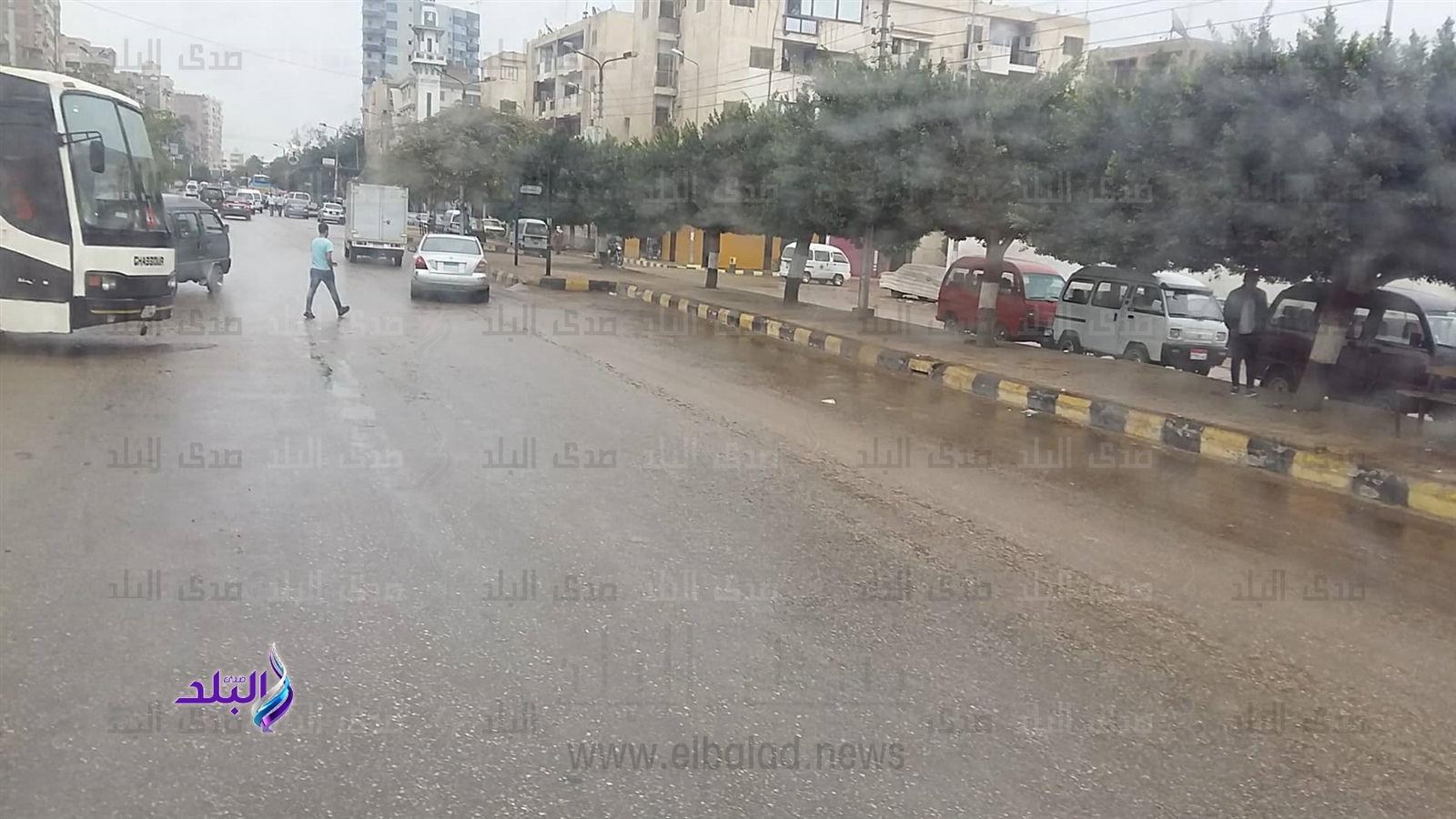 سقوط أمطار خفيفة على مدن القليوبية سقوط أمطار خفيفة على مدن القليوبية