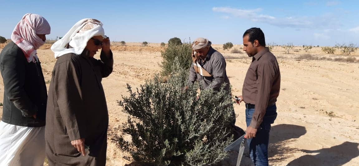 أكساد تنفذ العديد من الانشطة التنموية فى حصاد المياه