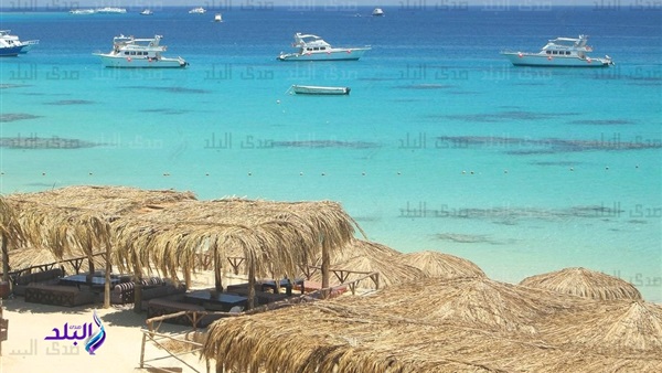 جزيرة الجفتون - الغردقة 