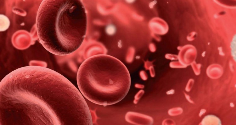 صحي جدا .. 7 أطعمة طبيعية للقضاء على فقر الدم صحي جدا .. 7 أطعمة طبيعية للقضاء على فقر الدم