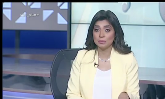 لميس سلامة