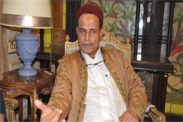 النائب مهدى العمدة ، عضو لجنة الشئون الأفريقية بالبرلمان النائب مهدى العمدة ، عضو لجنة الشئون الأفريقية بالبرلمان