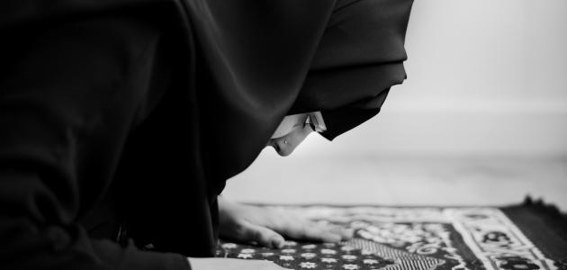  داعية سعودي يكشف ما ينتظر المرأة عند دخولها الجنة