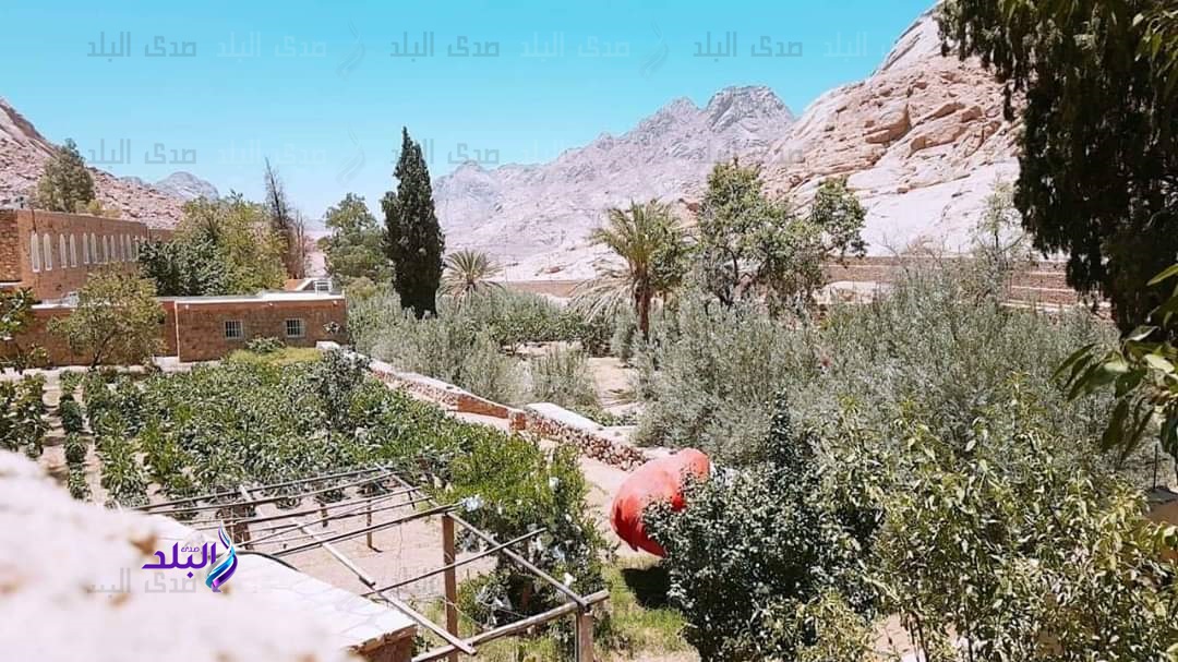 أراضي سيناء أراضي سيناء