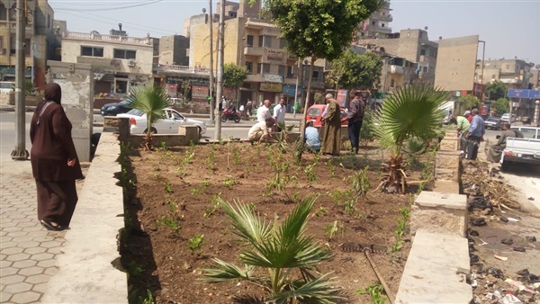 زراعة مليون شجرة زراعة مليون شجرة