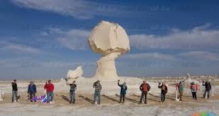 لتنشيط السياحة.. الوادى الجديد تستقبل 10 أفواج لتنشيط السياحة.. الوادى الجديد تستقبل 10 أفواج