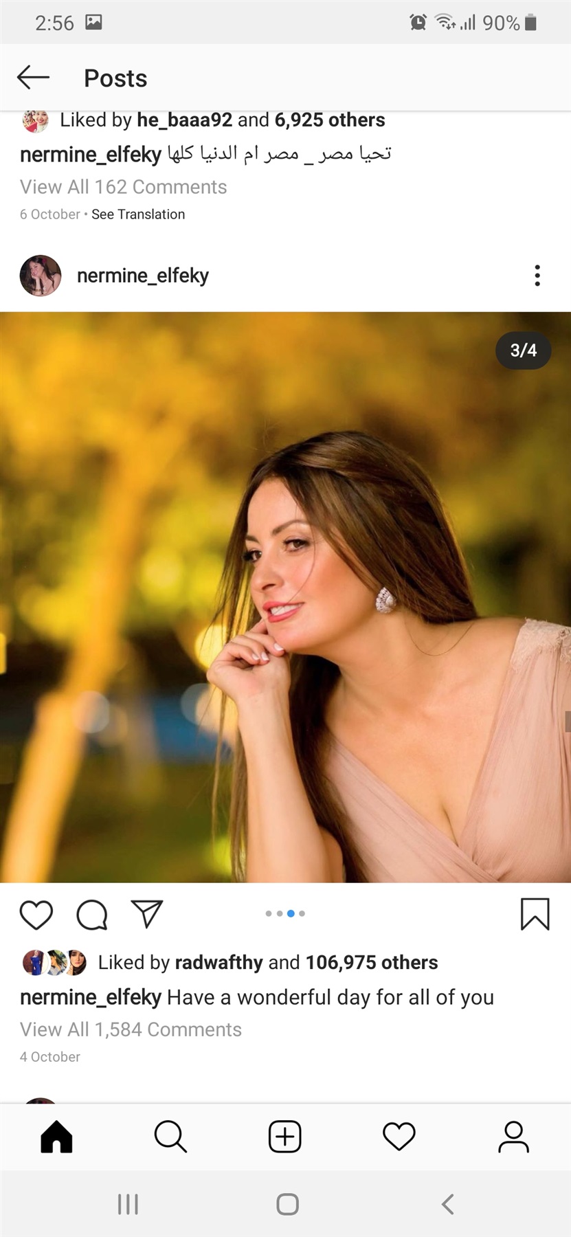 نرمين الفقى 
